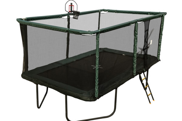 Detail Frog Trampoline Nomer 16