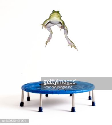 Detail Frog Trampoline Nomer 9