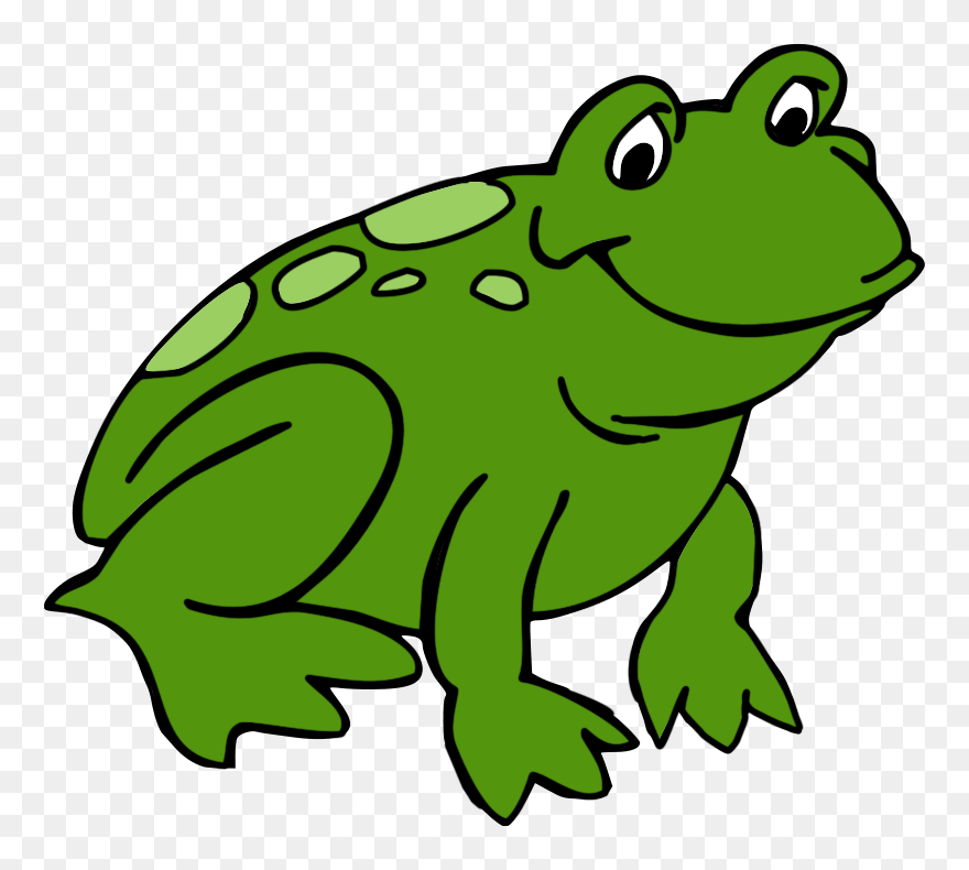 Detail Frog Transparent Nomer 53