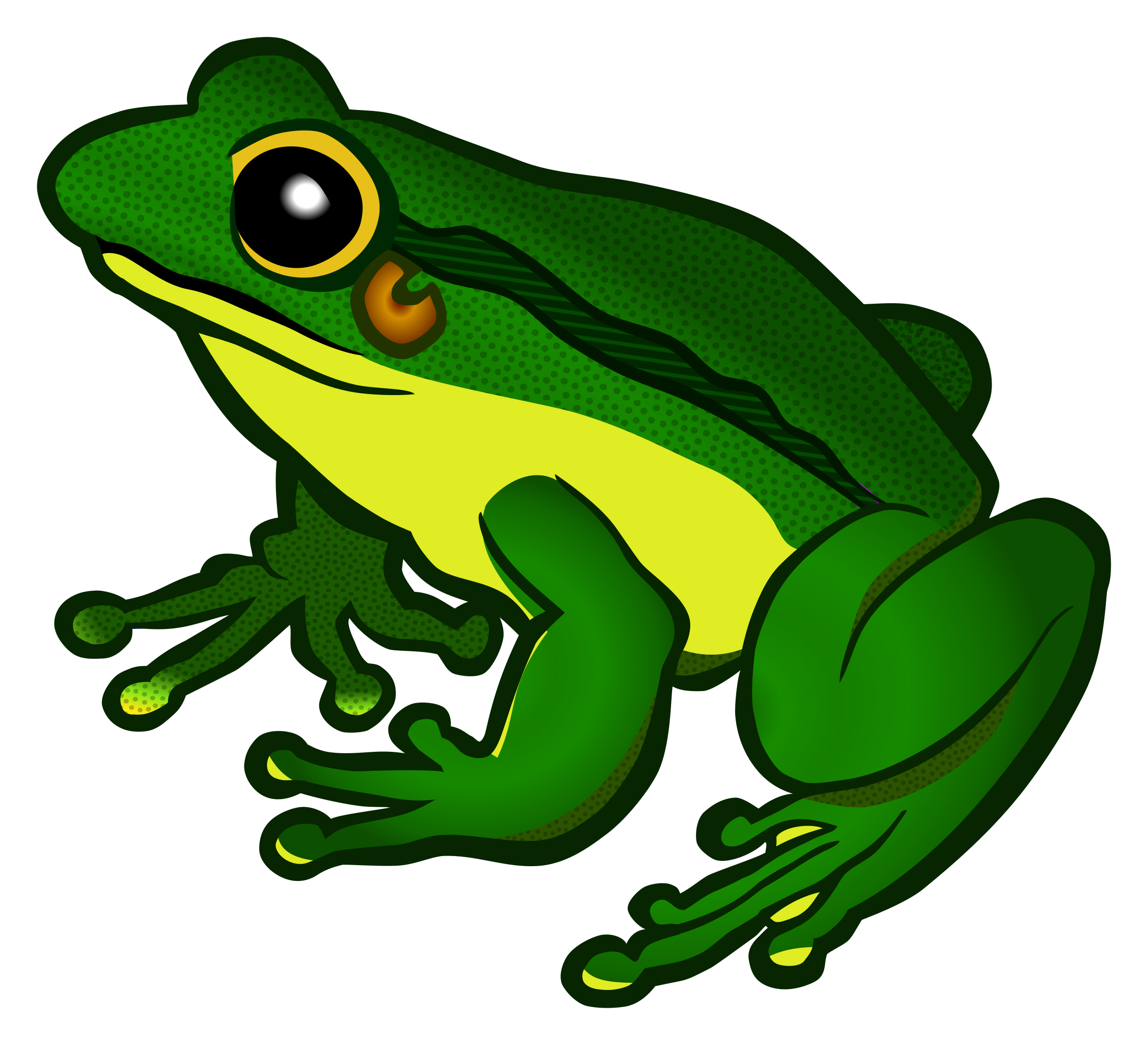 Detail Frog Transparent Background Nomer 3