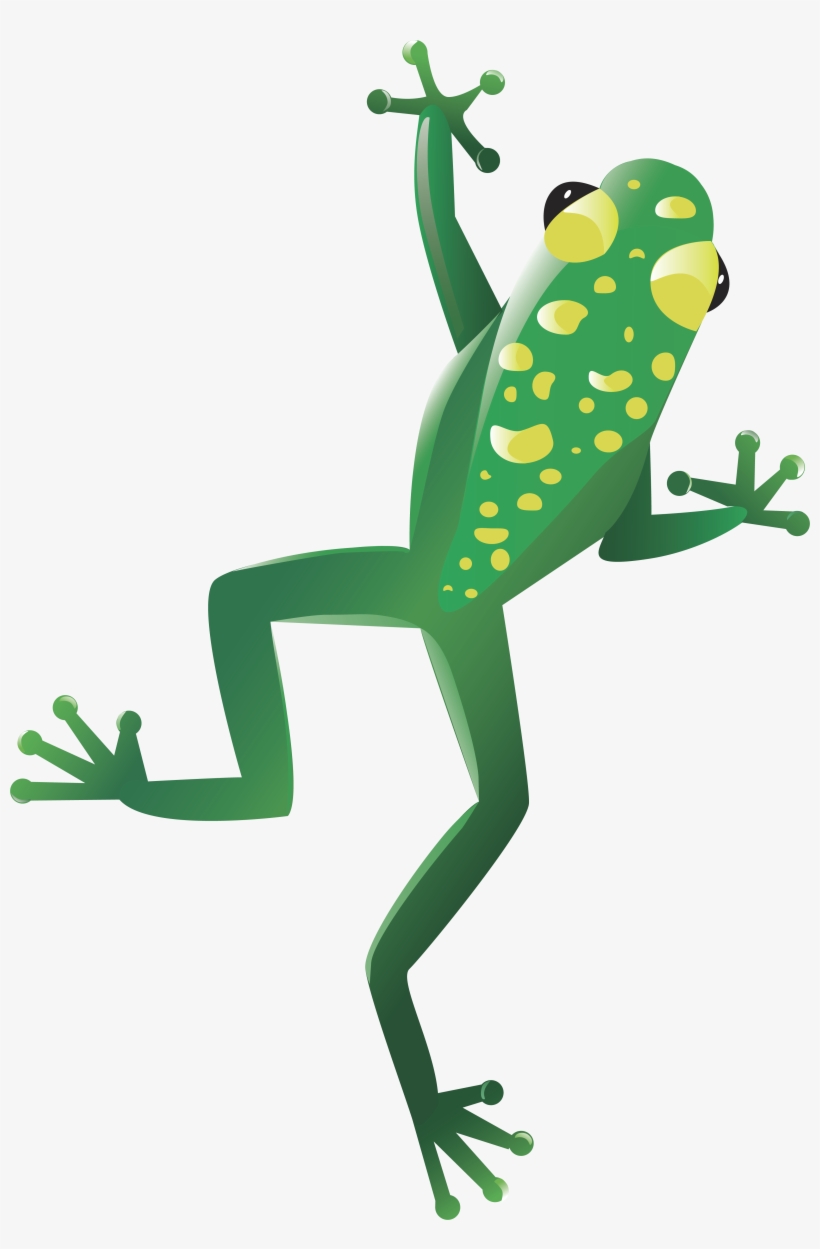 Detail Frog Transparent Background Nomer 36