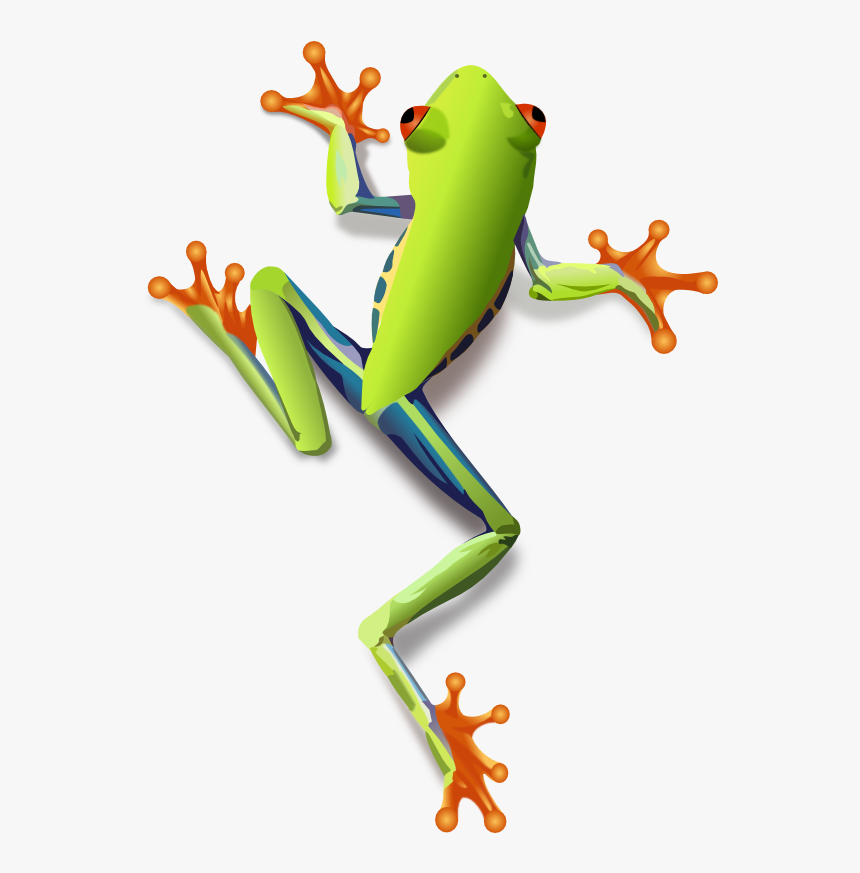Detail Frog Transparent Background Nomer 52