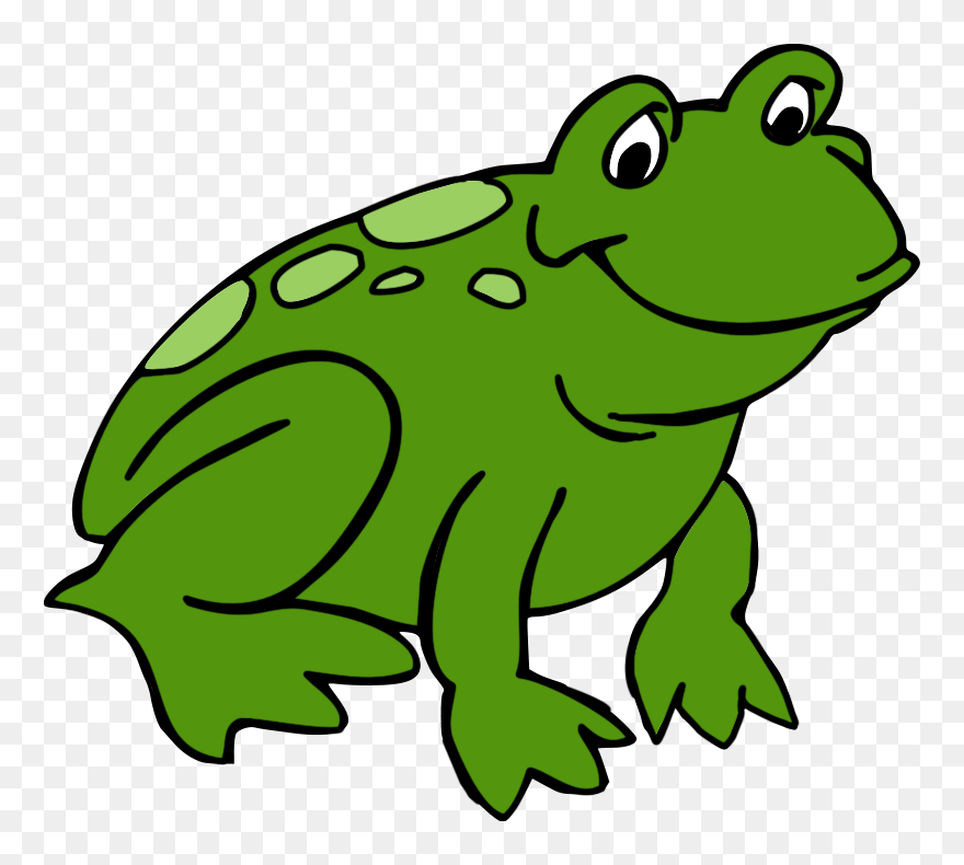 Detail Frog Transparent Background Nomer 53