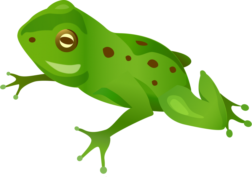 Detail Frog Vector Png Nomer 2