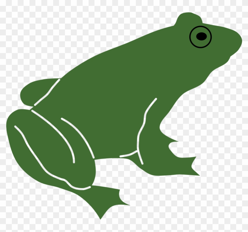 Detail Frog Vector Png Nomer 14