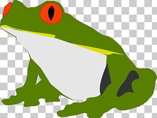 Detail Frog Vector Png Nomer 17