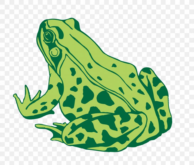 Detail Frog Vector Png Nomer 18