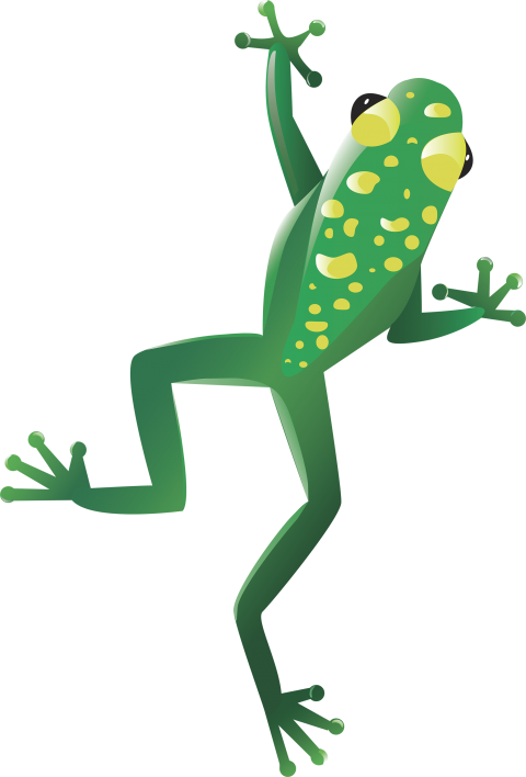 Detail Frog Vector Png Nomer 19