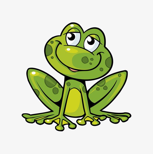 Detail Frog Vector Png Nomer 23