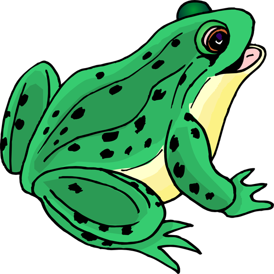 Detail Frog Vector Png Nomer 26