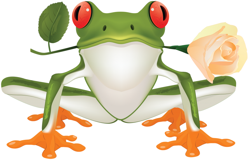 Detail Frog Vector Png Nomer 27