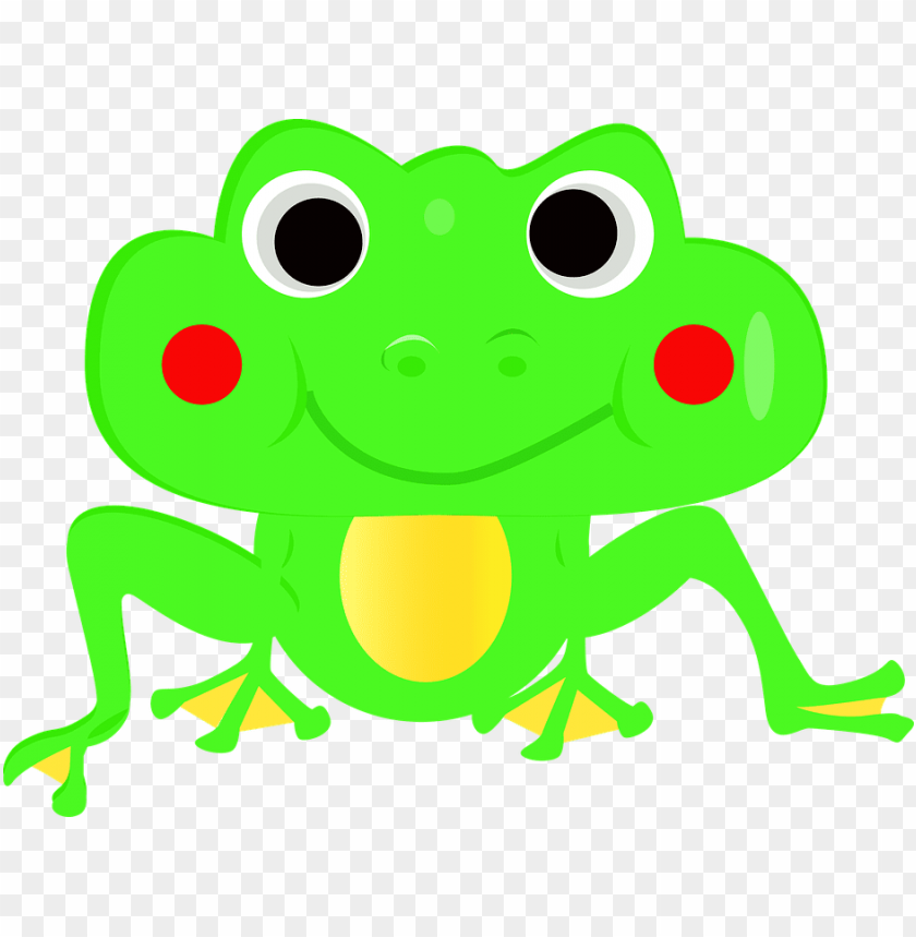 Detail Frog Vector Png Nomer 28