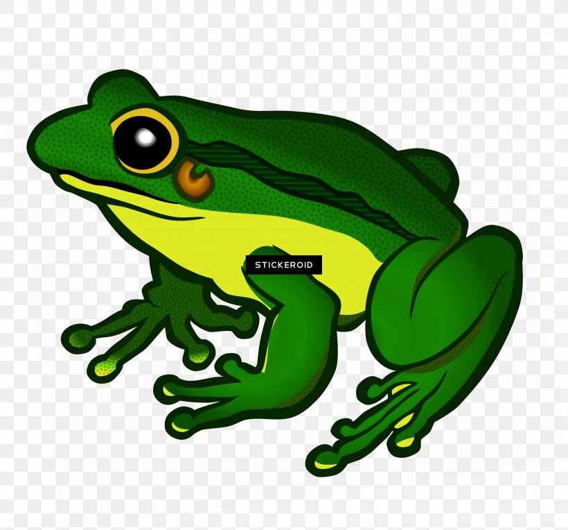 Detail Frog Vector Png Nomer 4