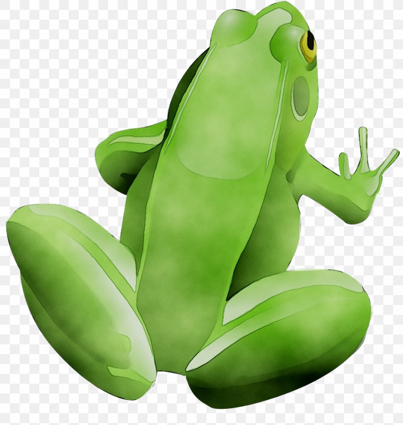 Detail Frog Vector Png Nomer 30