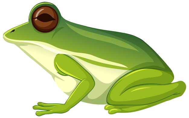 Detail Frog Vector Png Nomer 32