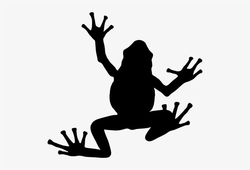 Detail Frog Vector Png Nomer 37