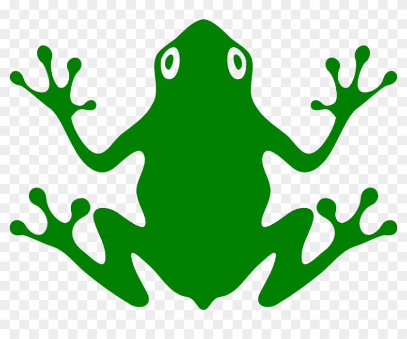 Detail Frog Vector Png Nomer 5