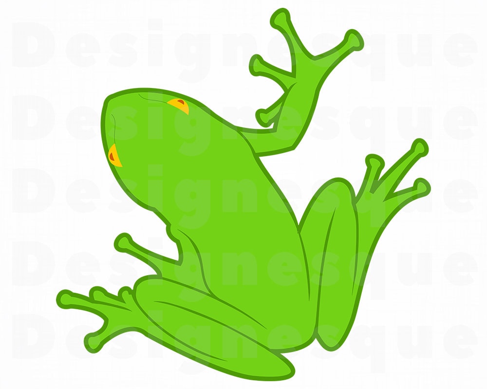 Detail Frog Vector Png Nomer 47