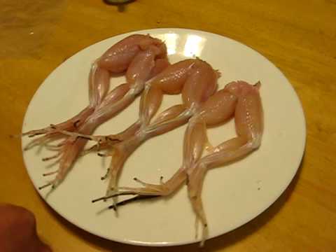 Frogs Legs Dance With Salt - KibrisPDR