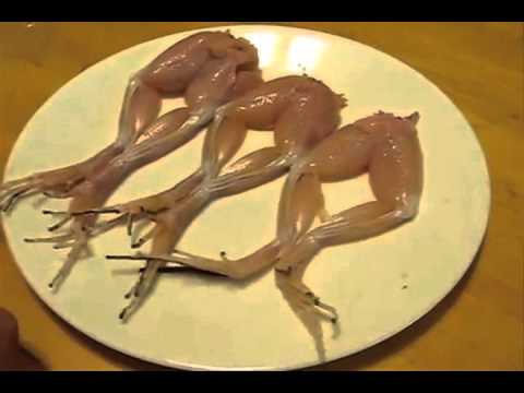 Detail Frogs Legs Dance With Salt Nomer 4