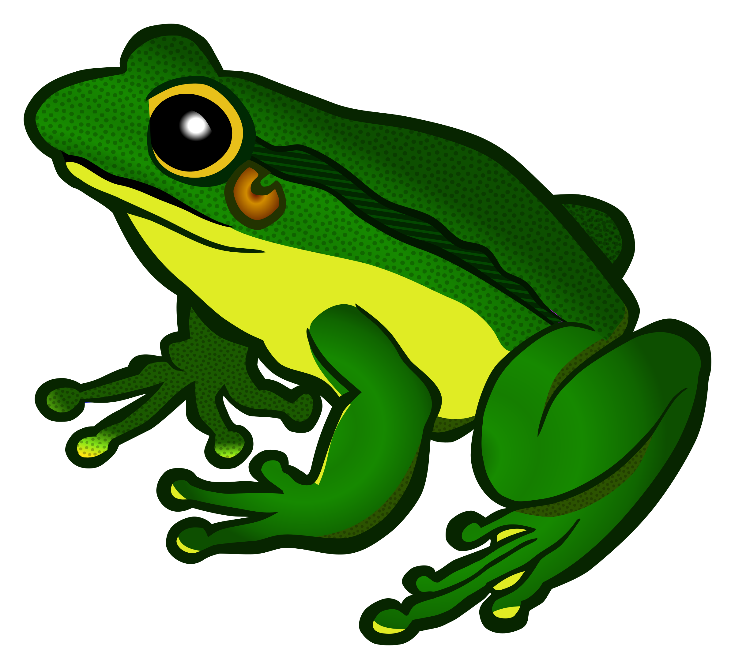 Detail Frogs Png Nomer 27