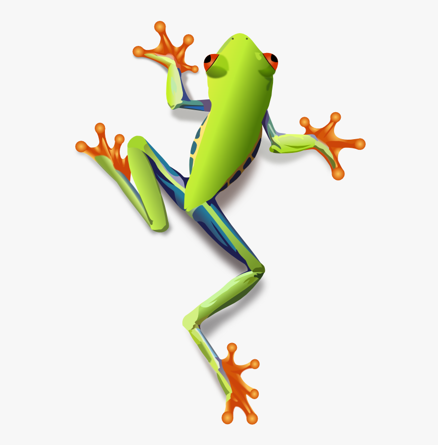 Detail Frogs Png Nomer 47