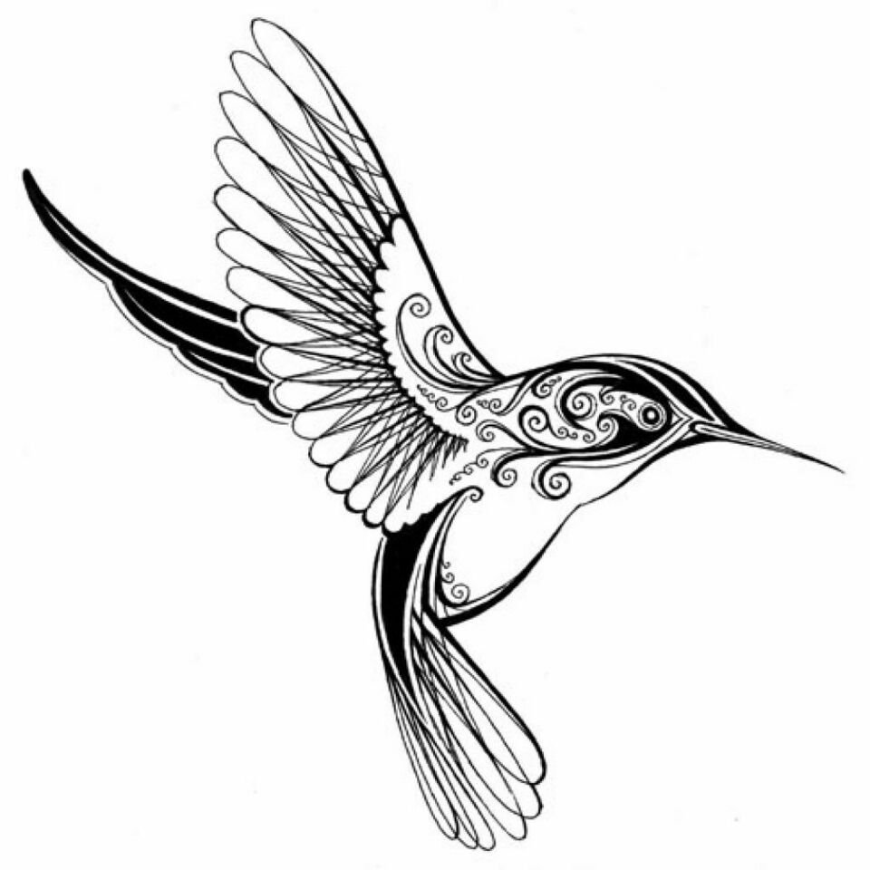 Detail Geometrischer Kolibri Nomer 25