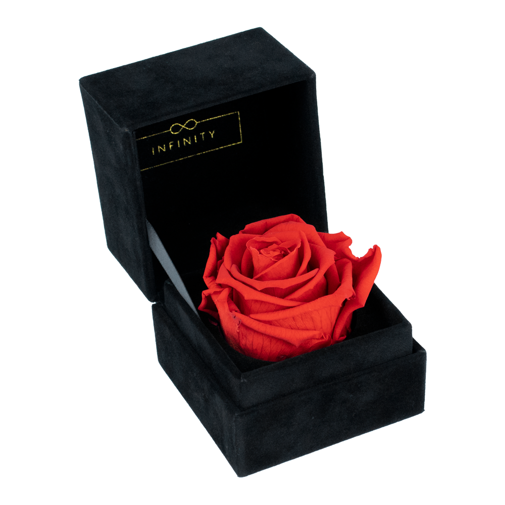 Detail Geschenke Mit Rosen Nomer 21