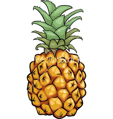 Ananas Busch - KibrisPDR