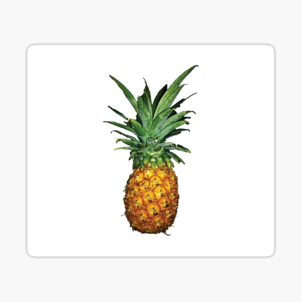 Detail Ananas Busch Nomer 10