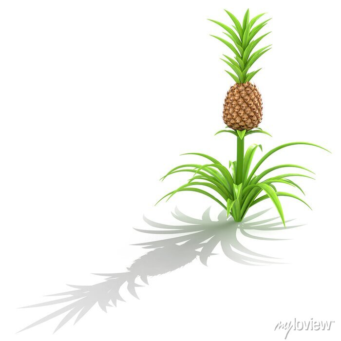 Detail Ananas Busch Nomer 14