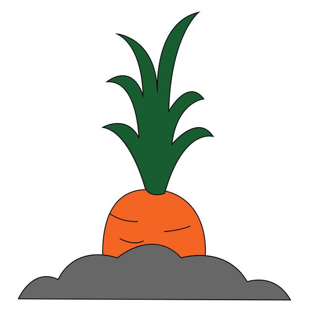 Detail Ananas Busch Nomer 16