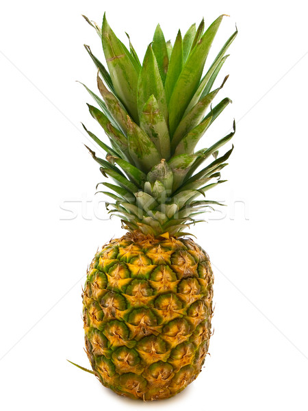 Detail Ananas Busch Nomer 17