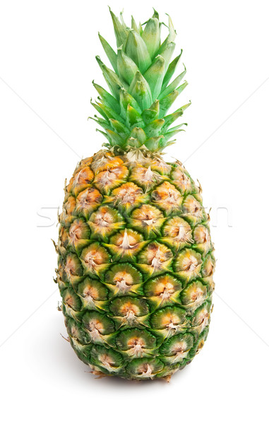 Detail Ananas Busch Nomer 21