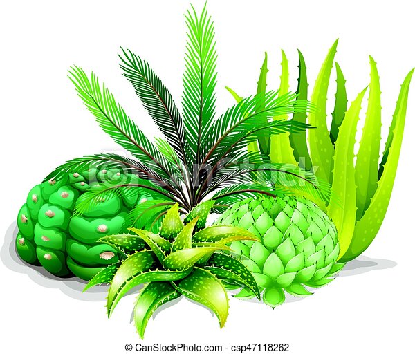 Detail Ananas Busch Nomer 23