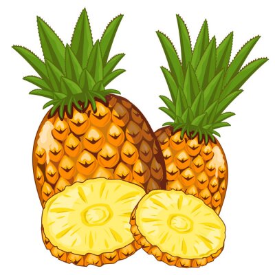 Detail Ananas Busch Nomer 4
