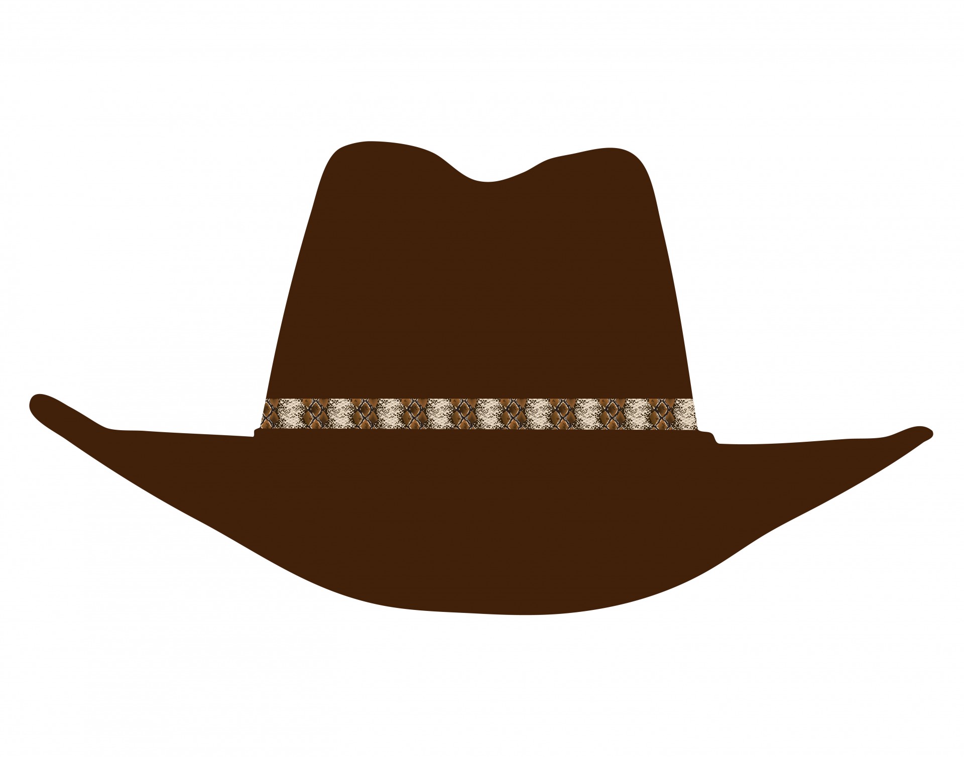 Detail Front Facing Cowboy Hat Nomer 11