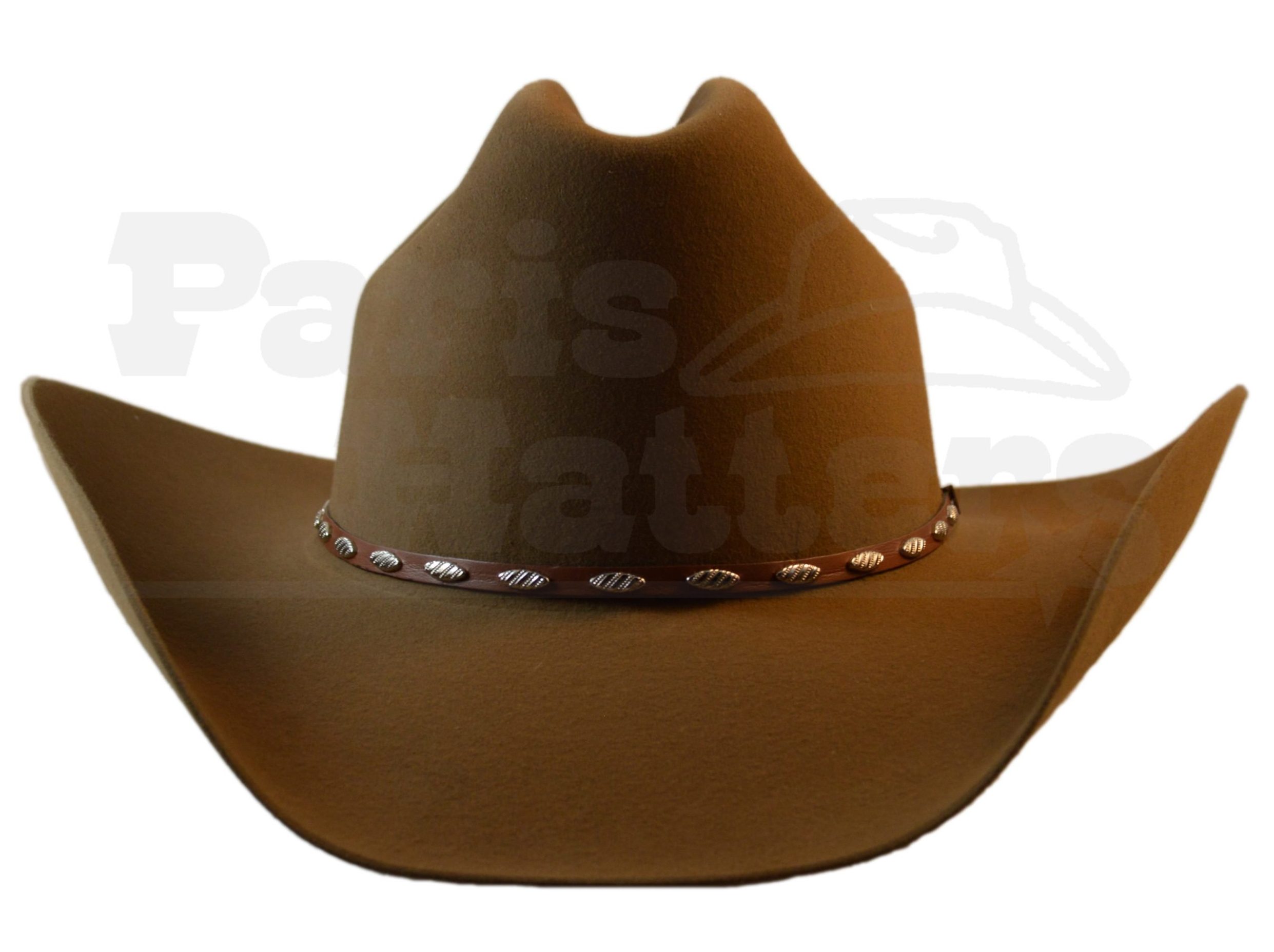 Detail Front Facing Cowboy Hat Nomer 48