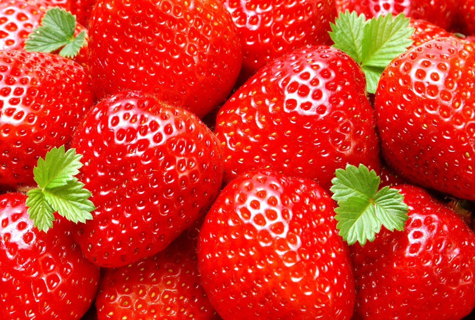 Detail Fruit Hd Wallpaper Nomer 4