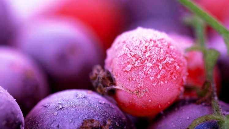 Detail Fruit Hd Wallpaper Nomer 45