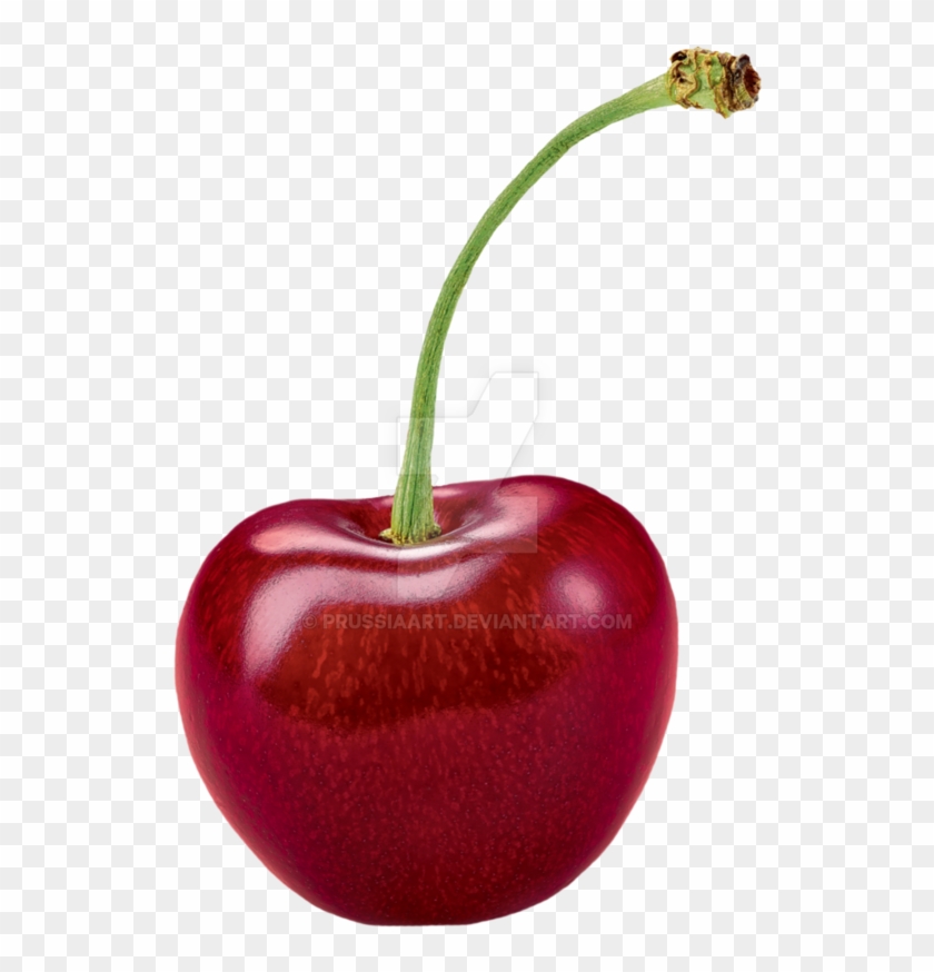 Detail Fruit Transparent Background Nomer 44