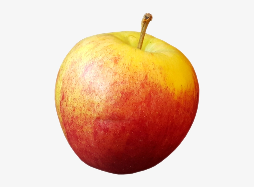 Detail Fruit Transparent Background Nomer 48