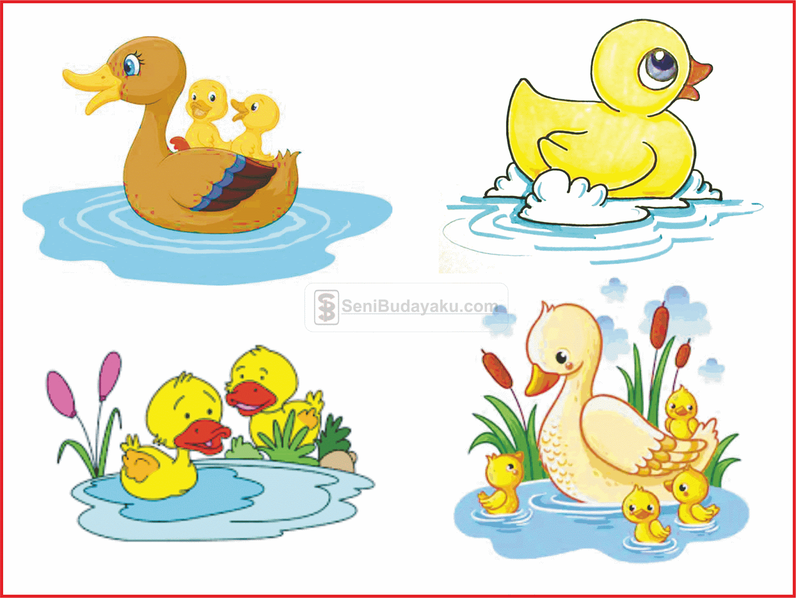 Detail Fto Gambar Bebek Nomer 28