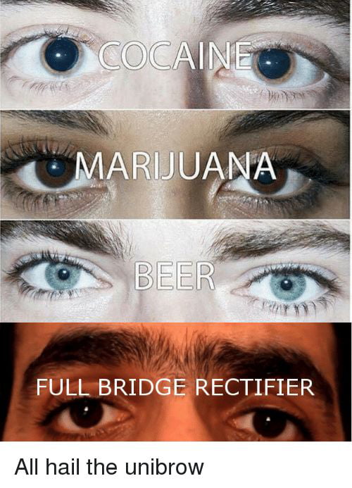 Detail Full Bridge Rectifier Meme Nomer 3