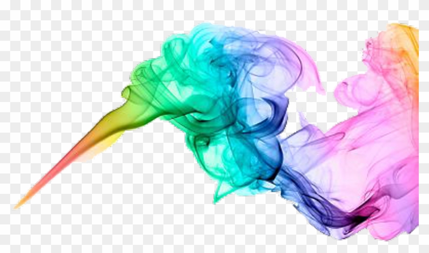 Detail Full Color Png Nomer 17