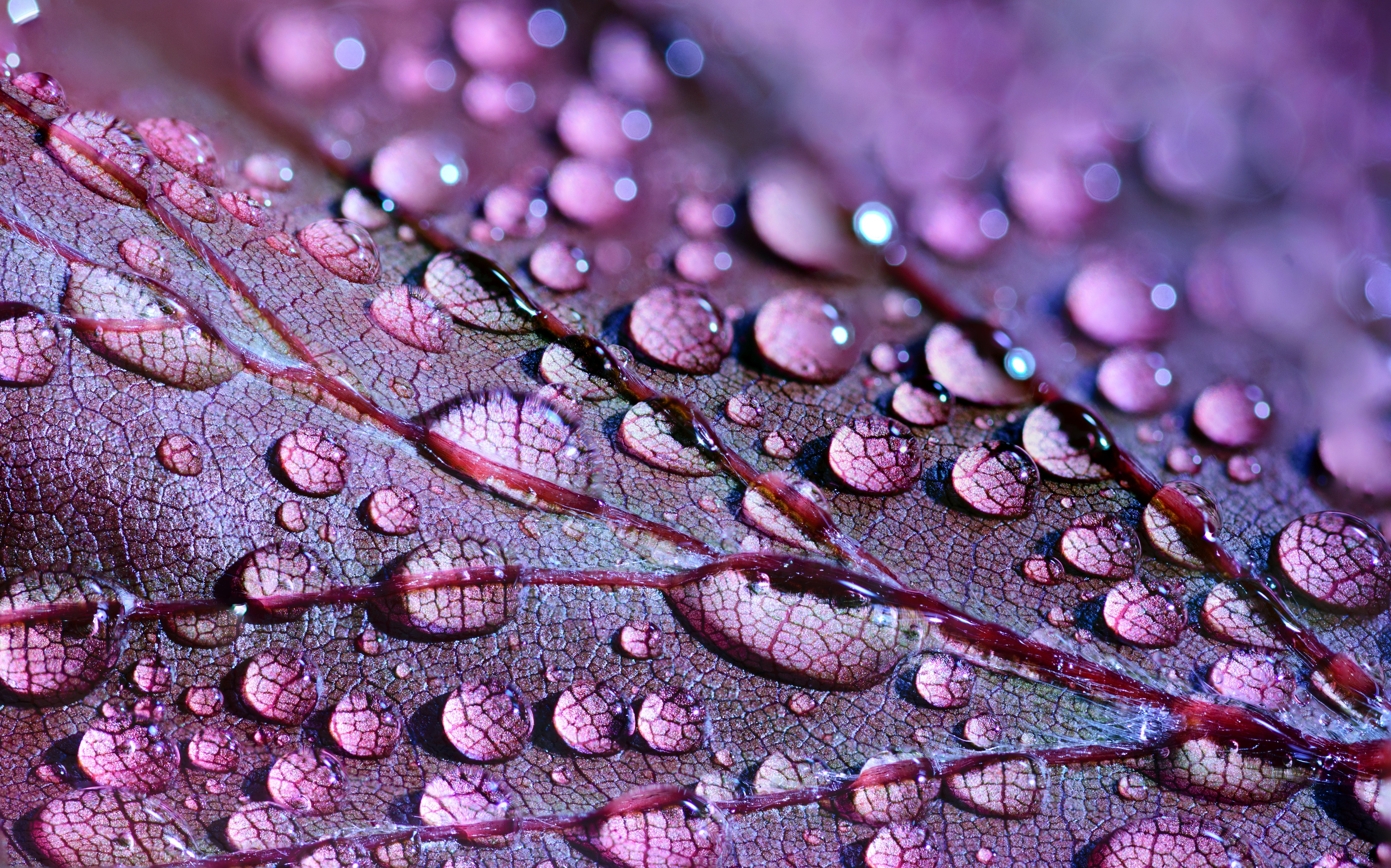Detail Full Hd Wallpaper Hd Nomer 2