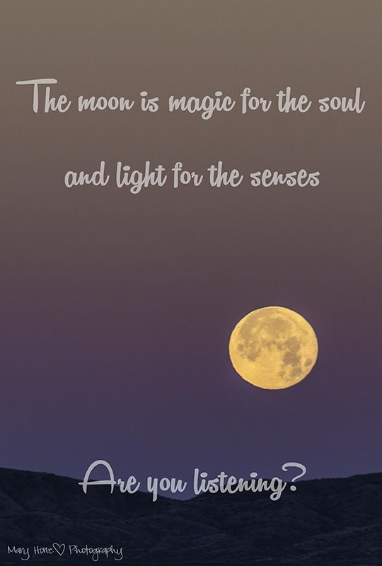 Full Moon Quotes - KibrisPDR