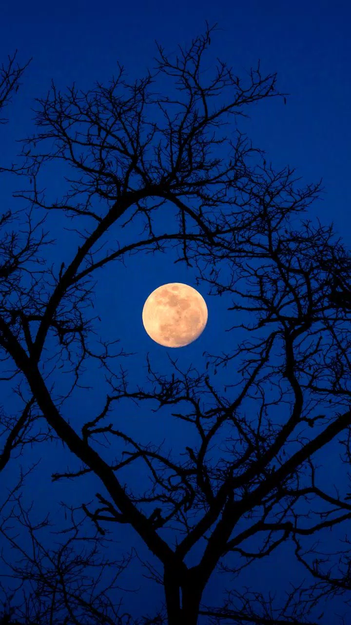 Detail Full Moon Wallpaper Hd Nomer 23
