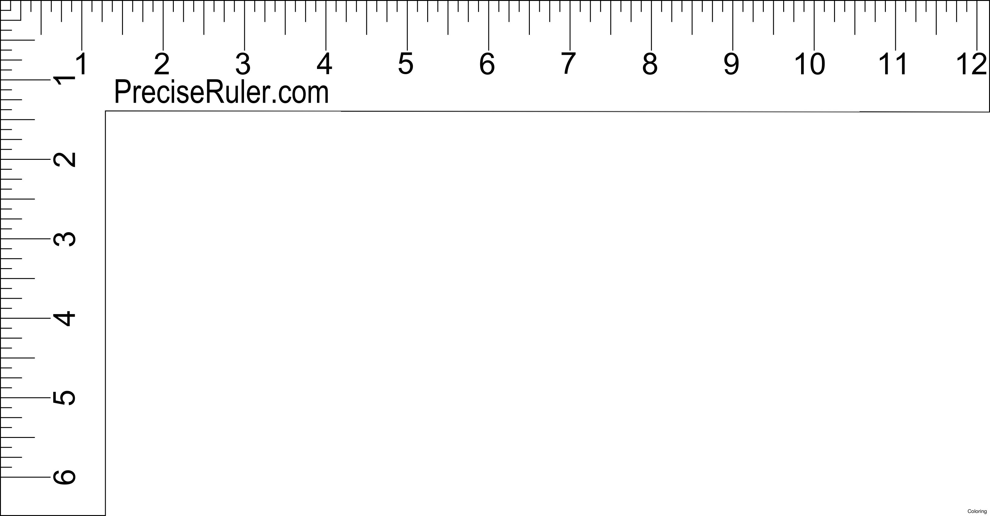 Detail Full Size Ruler Image Nomer 32