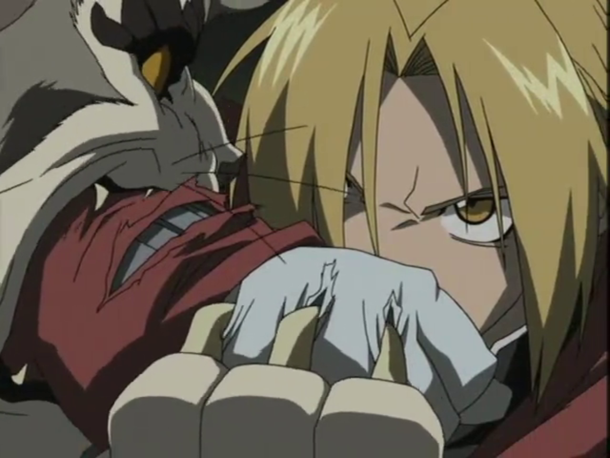 Detail Fullmetal Alchemist Chimera Nomer 43